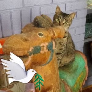 Meet your Posher, Teri